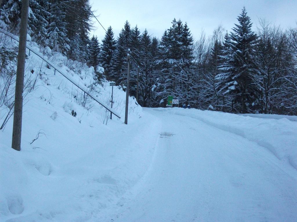 Hotel Am Wald - garni - Elgersburg Exteriör bild
